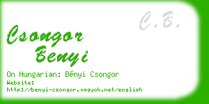 csongor benyi business card